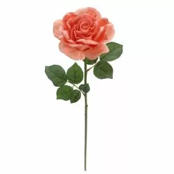 Top 10 ❤️ 6 Pack: Coral Rose Stem by Ashland® ⌛ 10 Top 10 ❤️ 6 Pack: Coral Rose Stem by Ashland® ⌛ -Ashland Sale Store 10626866 4