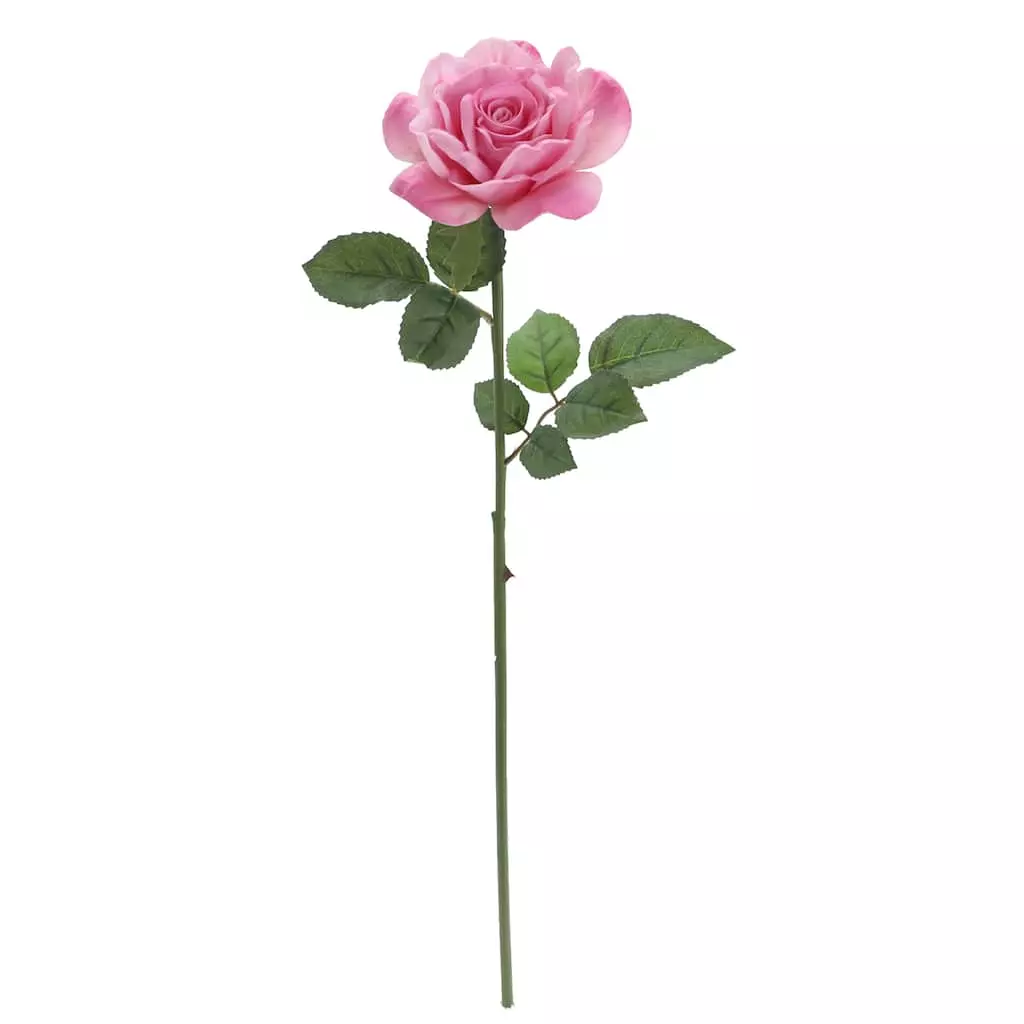 Promo ๐ 6 Pack: Pink Rose Stem by Ashland® โ 3 Promo ๐ 6 Pack: Pink Rose Stem by Ashland® โ