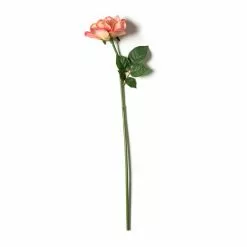 Cheapest 👍 Pink Rose Stem by Ashland® ⌛