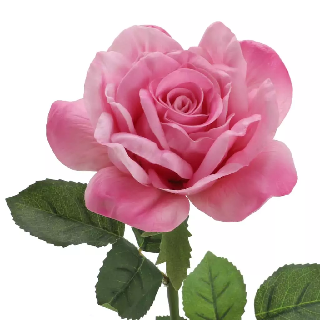 Promo ๐ 6 Pack: Pink Rose Stem by Ashland® โ 4 Promo ๐ 6 Pack: Pink Rose Stem by Ashland® โ - Image 2