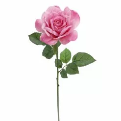 Promo ๐ 6 Pack: Pink Rose Stem by Ashland® โ 10 Promo ๐ 6 Pack: Pink Rose Stem by Ashland® โ -Ashland Sale Store 10626868 4