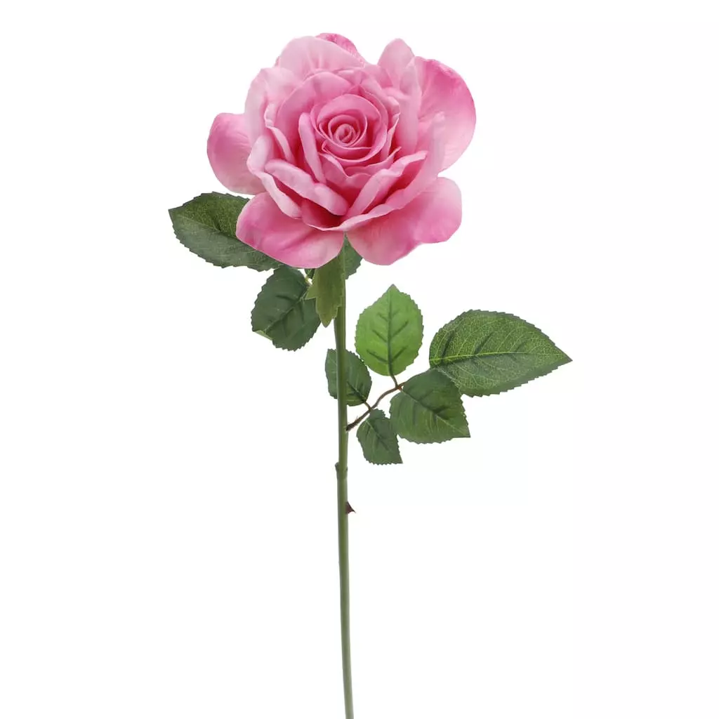 Promo ๐ 6 Pack: Pink Rose Stem by Ashland® โ 5 Promo ๐ 6 Pack: Pink Rose Stem by Ashland® โ - Image 3
