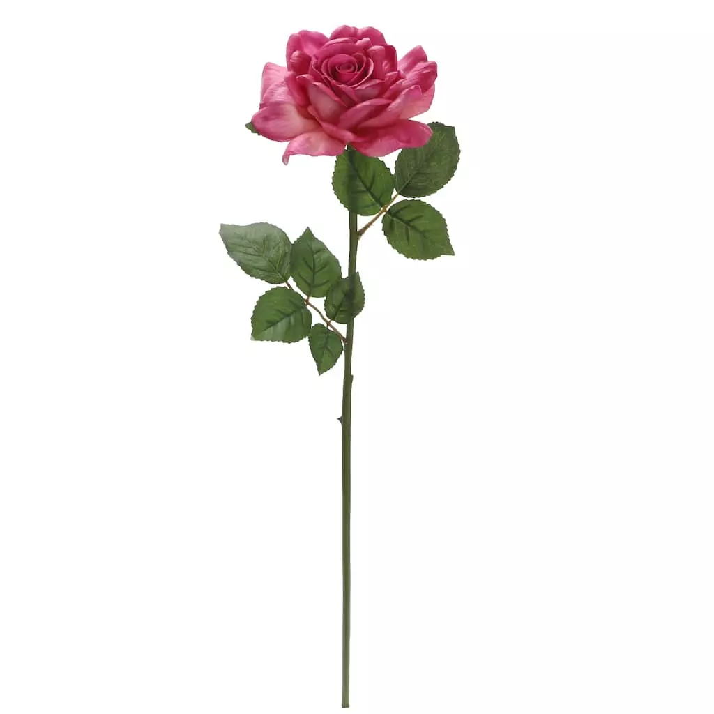 Best Sale ⌛ 6 Pack: Fuchsia Rose Stem by Ashland® ⌛ 3 Best Sale ⌛ 6 Pack: Fuchsia Rose Stem by Ashland® ⌛