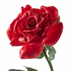 Top 10 ❤️ Red Rose Stem by Ashland® ✨ -Ashland Sale Store 10626872 20