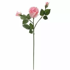 Best reviews of ⌛ 6 Pack: Blush Rose Spray by Ashland® ⌛