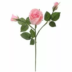 Best reviews of ⌛ 6 Pack: Blush Rose Spray by Ashland® ⌛ -Ashland Sale Store 10626876 4