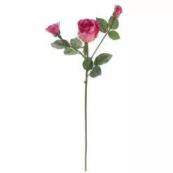 Best Sale 🔥 6 Pack: Fuchsia Rose Spray by Ashland® 😀