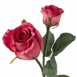 Coupon 😀 Fuchsia Rose Stem by Ashland® ⌛ 7 Coupon 😀 Fuchsia Rose Stem by Ashland® ⌛ -Ashland Sale Store 10626878 20