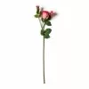 Coupon 😀 Fuchsia Rose Stem by Ashland® ⌛ -Ashland Sale Store 10626878 21