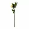 Buy 🥰 White Rose Stem by Ashland® 🔔 1 Buy 🥰 White Rose Stem by Ashland® 🔔 -Ashland Sale Store 10626882 21