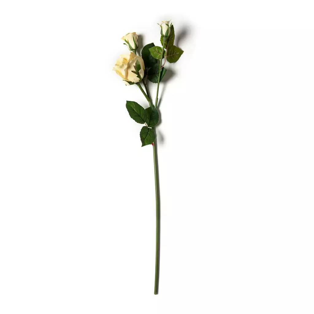 Buy 🥰 White Rose Stem by Ashland® 🔔 3 Buy 🥰 White Rose Stem by Ashland® 🔔