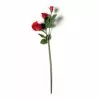 Best reviews of 🥰 Red Rose Stem by Ashland® ✨ -Ashland Sale Store 10626884 21