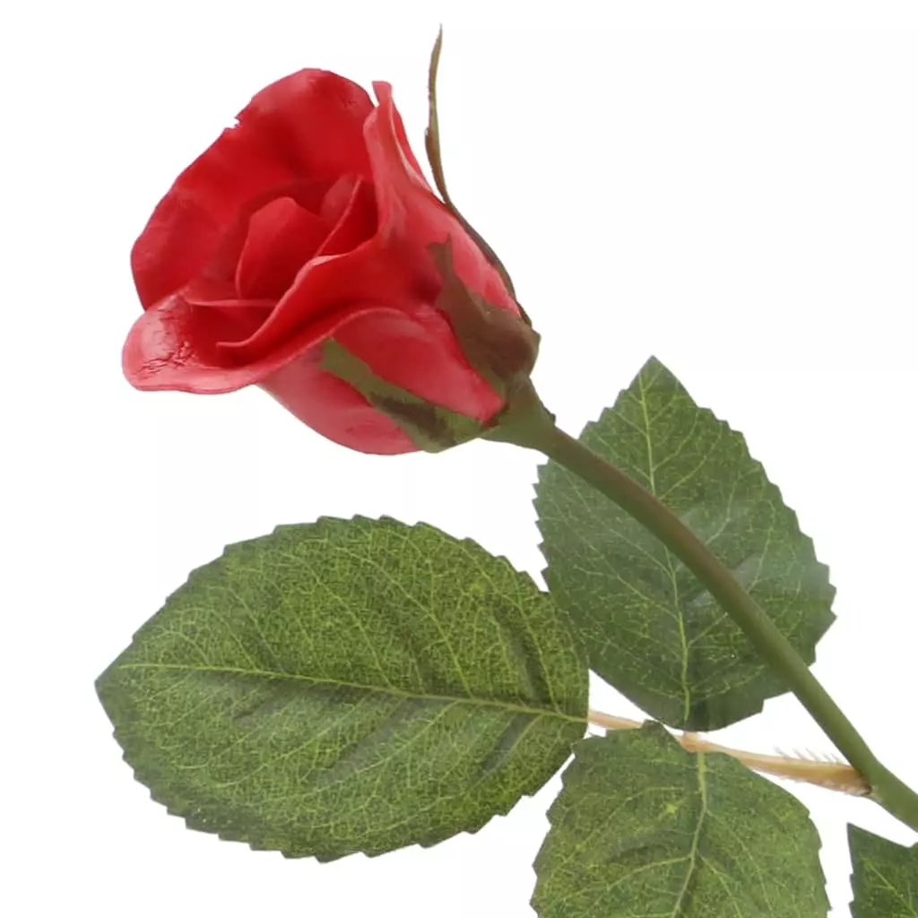 Deals 👏 6 Pack: Red Rose Spray by Ashland® 🛒 4 Deals 👏 6 Pack: Red Rose Spray by Ashland® 🛒 - Image 2