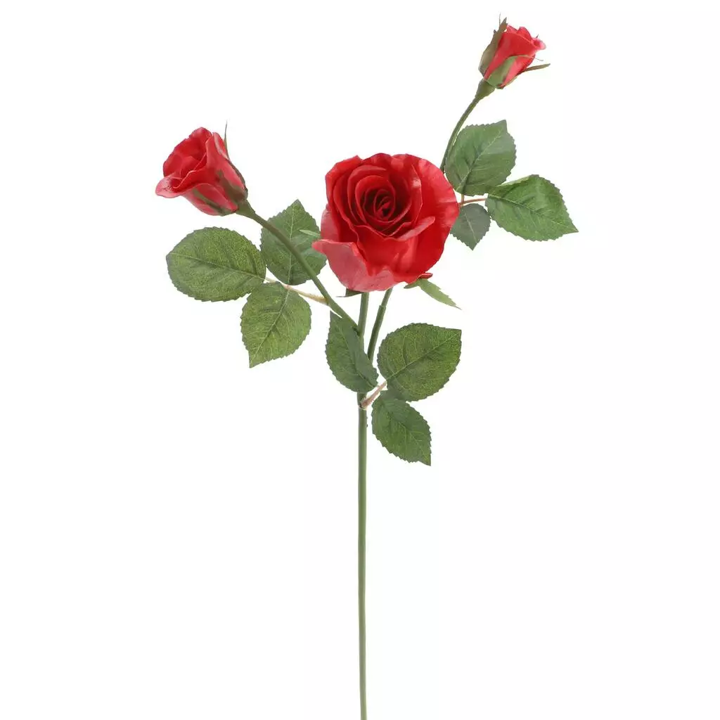 Deals 👏 6 Pack: Red Rose Spray by Ashland® 🛒 5 Deals 👏 6 Pack: Red Rose Spray by Ashland® 🛒 - Image 3