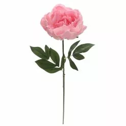 Brand new 🎁 6 Pack: Blush Peony Stem by Ashland® 🔔 10 Brand new 🎁 6 Pack: Blush Peony Stem by Ashland® 🔔 -Ashland Sale Store 10626886 3