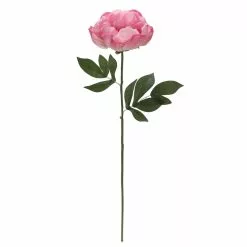 Best Sale ⭐ 6 Pack: Pink Peony Stem by Ashland® 🔔