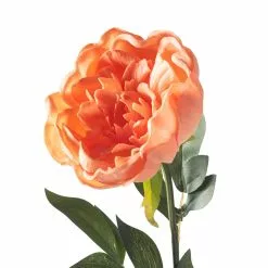 Best deal ✔️ Coral Large Peony Stem by Ashland® 😍 7 Best deal ✔️ Coral Large Peony Stem by Ashland® 😍 -Ashland Sale Store 10626890 20