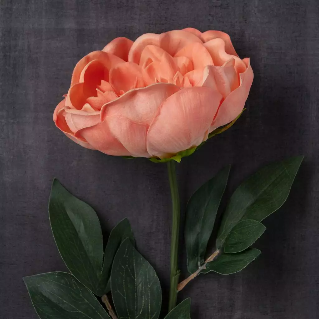 Best deal ✔️ Coral Large Peony Stem by Ashland® 😍 4 Best deal ✔️ Coral Large Peony Stem by Ashland® 😍 - Image 2