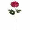 Best reviews of 🤩 6 Pack: Fuchsia Peony Stem by Ashland® 🔥