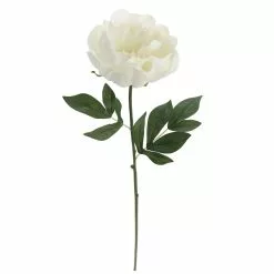 Promo 😉 White Peony Stem by Ashland® 😉 -Ashland Sale Store 10626894 3