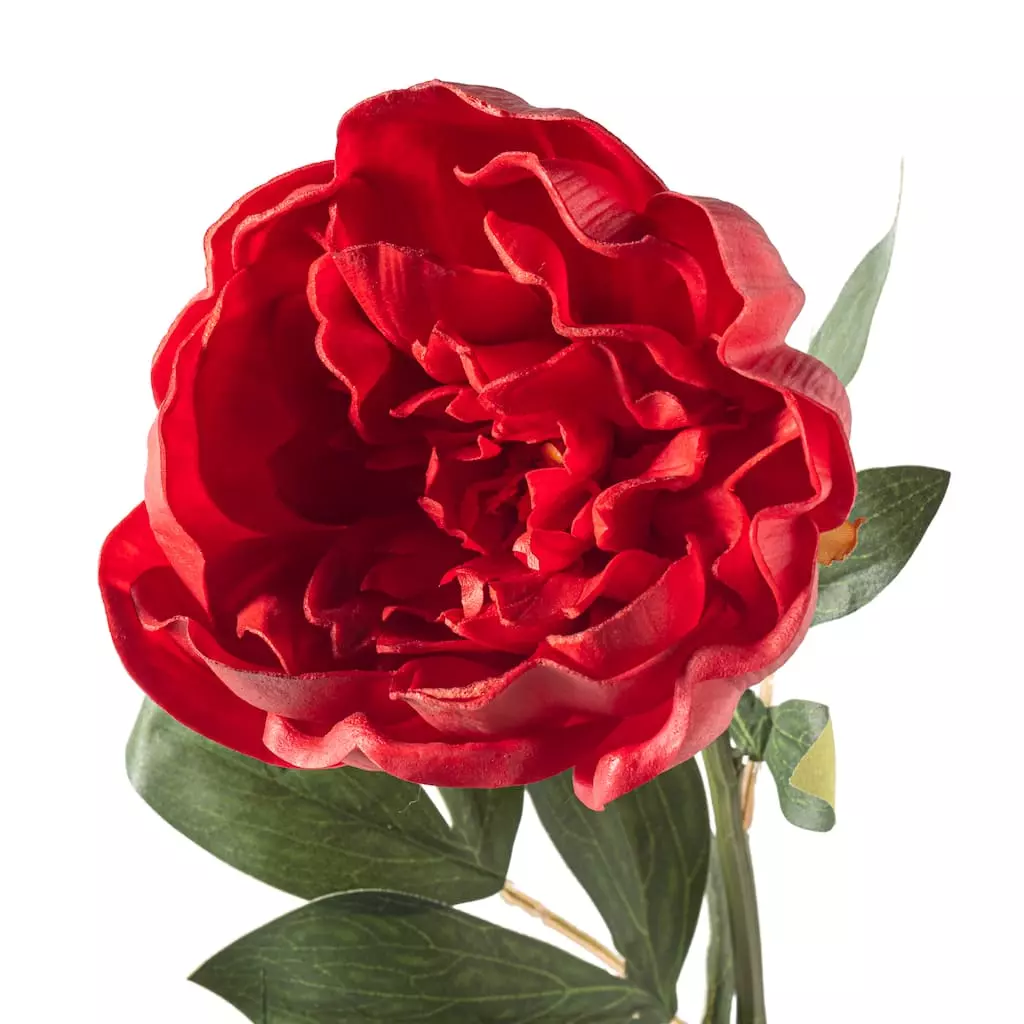 Cheap ⌛ Red Large Peony Stem by Ashland® 🌟 5 Cheap ⌛ Red Large Peony Stem by Ashland® 🌟 - Image 3