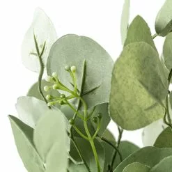 Best deal ⌛ Eucalyptus Bush by Ashland® 👍 -Ashland Sale Store 10626920 20