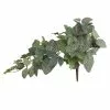 Promo 🛒 6 Pack: Green Hanging Fittonia Bush by Ashland® ⭐