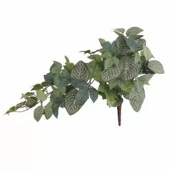 Deals 🎉 Green Hanging Fittonia Bush by Ashland® ⌛