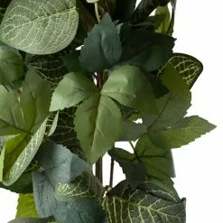 Deals 🎉 Green Hanging Fittonia Bush by Ashland® ⌛ -Ashland Sale Store 10626924 20