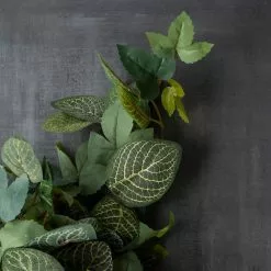 Promo 🛒 6 Pack: Green Hanging Fittonia Bush by Ashland® ⭐ 11 Promo 🛒 6 Pack: Green Hanging Fittonia Bush by Ashland® ⭐ -Ashland Sale Store 10626924 25 1