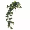 Discount 😉 Hanging Pothos Bush by Ashland® ✔️ 1 Discount 😉 Hanging Pothos Bush by Ashland® ✔️ -Ashland Sale Store 10626927 1