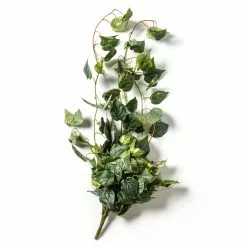 Best Pirce 🛒 6 Pack: Hanging Pothos Bush by Ashland® ✔️ -Ashland Sale Store 10626927 21 1