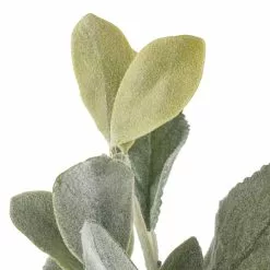 Cheapest ⌛ 6 Pack: Lamb's Ear Bush by Ashland® ⭐ -Ashland Sale Store 10626928 20 1