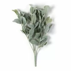 Cheapest ⌛ 6 Pack: Lamb's Ear Bush by Ashland® ⭐
