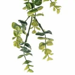 Coupon 🔥 6 Pack: Green Hanging Eucalyptus Bush by Ashland® ⌛ -Ashland Sale Store 10626930 20