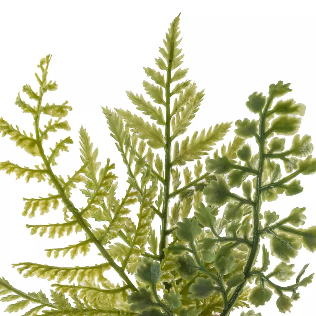 Buy ✨ Assorted Green Fern Bundle by Ashland® 🥰 5 Buy ✨ Assorted Green Fern Bundle by Ashland® 🥰 - Image 3