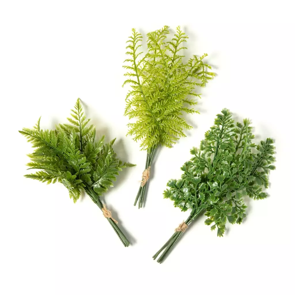 Buy ✨ Assorted Green Fern Bundle by Ashland® 🥰 3 Buy ✨ Assorted Green Fern Bundle by Ashland® 🥰