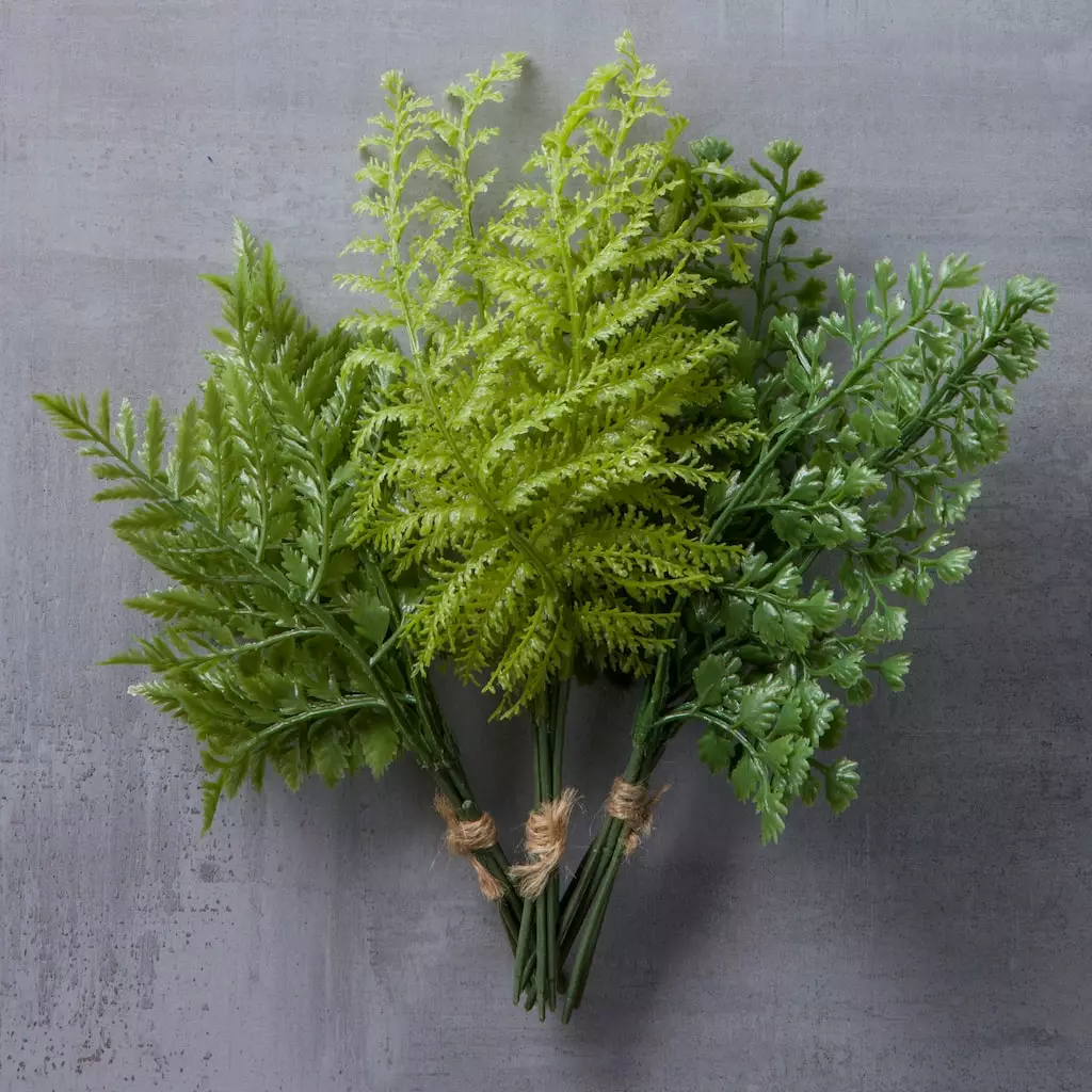Buy ✨ Assorted Green Fern Bundle by Ashland® 🥰 4 Buy ✨ Assorted Green Fern Bundle by Ashland® 🥰 - Image 2