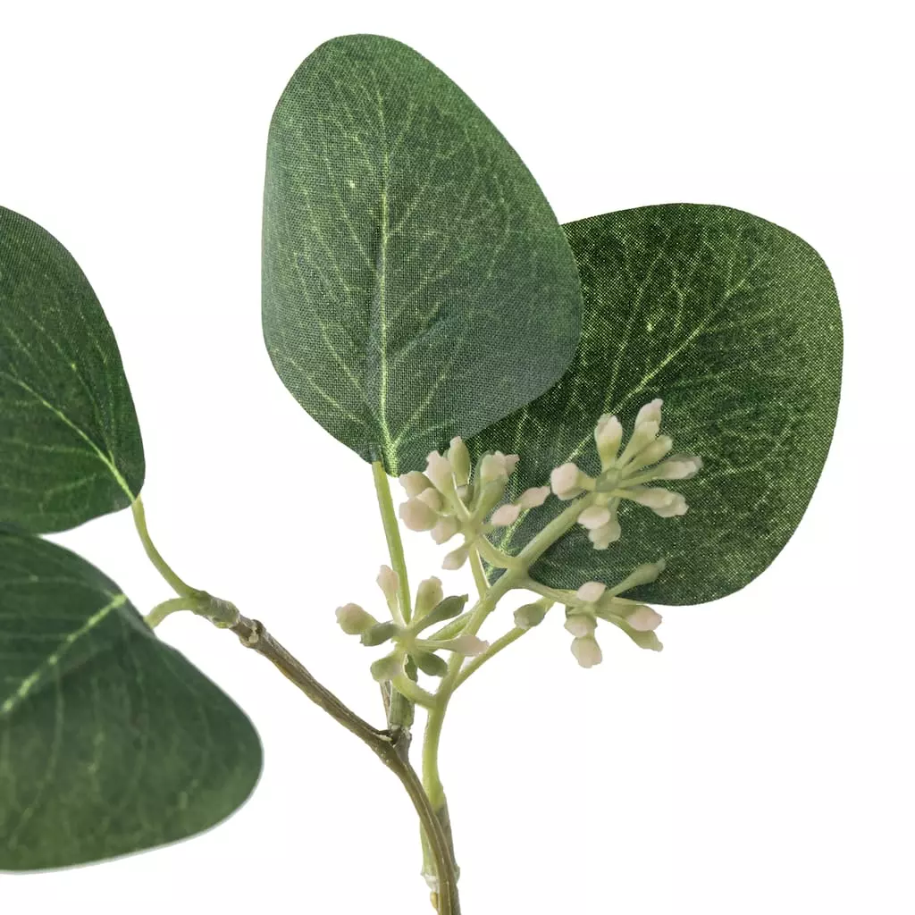 New 🛒 12 Pack: Assorted Green Eucalyptus & Berry Pick by Ashland® 😀 5 New 🛒 12 Pack: Assorted Green Eucalyptus & Berry Pick by Ashland® 😀 - Image 3