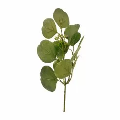 Outlet 🌟 Assorted Green Eucalyptus & Berry Pick by Ashland® ✔️ 10 Outlet 🌟 Assorted Green Eucalyptus & Berry Pick by Ashland® ✔️ -Ashland Sale Store 10626934 4
