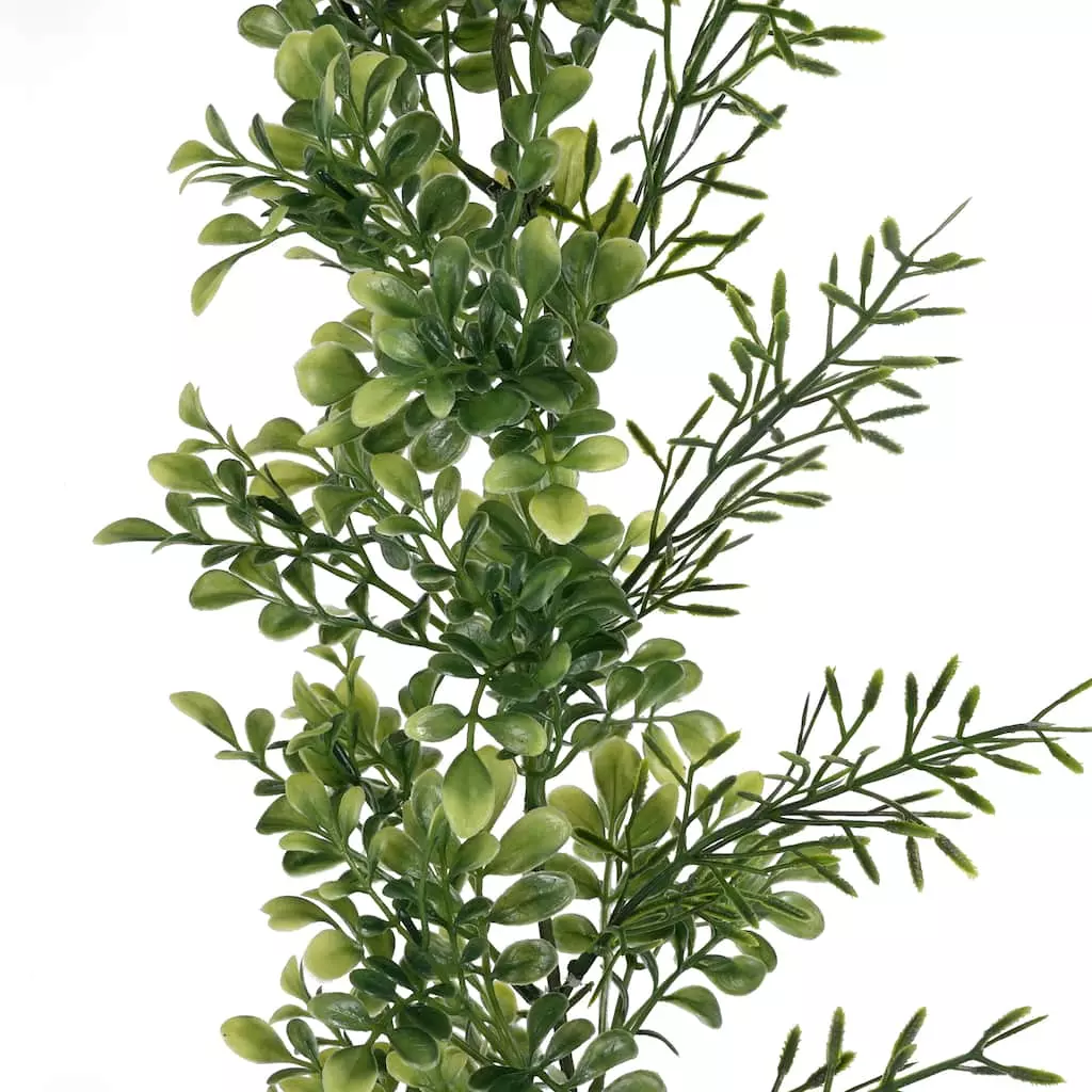 Deals 🧨 6 Pack: 6ft. Green Boxwood Garland by Ashland® 😍 4 Deals 🧨 6 Pack: 6ft. Green Boxwood Garland by Ashland® 😍 - Image 2