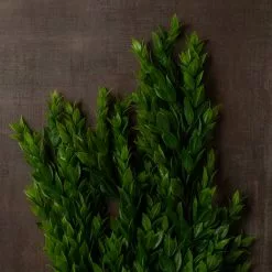 Best Sale 💯 Hanging Ruscus Bush by Ashland® ⌛ -Ashland Sale Store 10626982 25