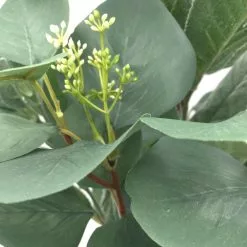 Outlet ✔️ Silver Dollar & Lamb's Ear Bush by Ashland® 🥰 -Ashland Sale Store 10626983 3