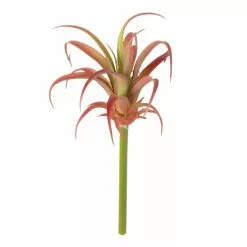 Budget 🤩 Assorted Succulent Pick by Ashland® ❤️