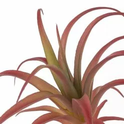 Budget 🤩 Assorted Succulent Pick by Ashland® ❤️ -Ashland Sale Store 10626994 20