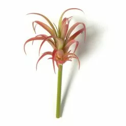 Discount 😉 24 Pack: Assorted Succulent Pick by Ashland® ⭐