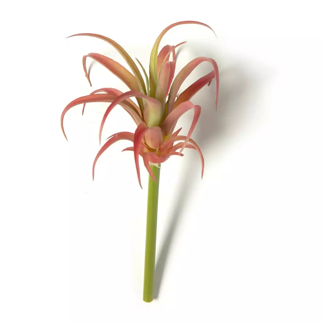 Discount 😉 24 Pack: Assorted Succulent Pick by Ashland® ⭐ 3 Discount 😉 24 Pack: Assorted Succulent Pick by Ashland® ⭐