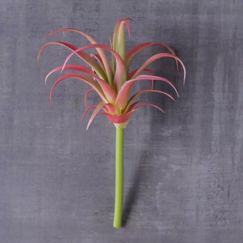 Discount 😉 24 Pack: Assorted Succulent Pick by Ashland® ⭐ 4 Discount 😉 24 Pack: Assorted Succulent Pick by Ashland® ⭐ - Image 2