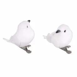 Deals ✔️ 8 Packs: 6 ct. (48 total) White Feather Birds by Ashland® ✨