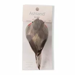 Cheap 🌟 Orange Breasted Feather Bird by Ashland® 👏 -Ashland Sale Store 10627158 20